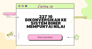 227 10 dikonversikan ke sistem biner mempunyai nilai