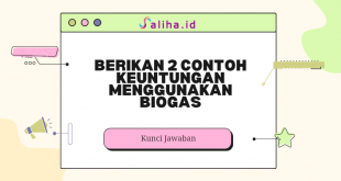 Berikan 2 contoh keuntungan menggunakan biogas