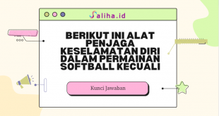 Berikut ini alat penjaga keselamatan diri dalam permainan softball kecuali