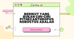 Berikut yang bukan ciri-ciri pithecanthropus robustus adalah