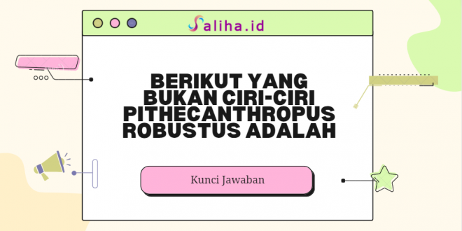 Berikut yang bukan ciri-ciri pithecanthropus robustus adalah