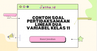 Contoh soal pertidaksamaan linear dua variabel kelas 11