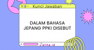 Dalam bahasa jepang ppki disebut