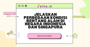 Jelaskan perbedaan kondisi bentang alam di negara indonesia dan singapura