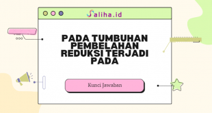 Pada tumbuhan pembelahan reduksi terjadi pada