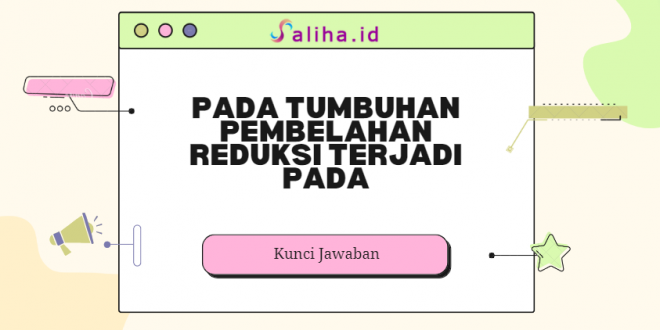 Pada tumbuhan pembelahan reduksi terjadi pada