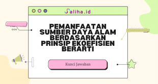 Pemanfaatan sumber daya alam berdasarkan prinsip ekoefisien berarti