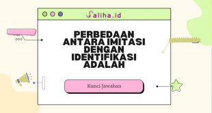 Perbedaan antara imitasi dengan identifikasi adalah