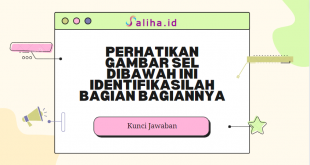 Perhatikan gambar sel dibawah ini identifikasilah bagian bagiannya