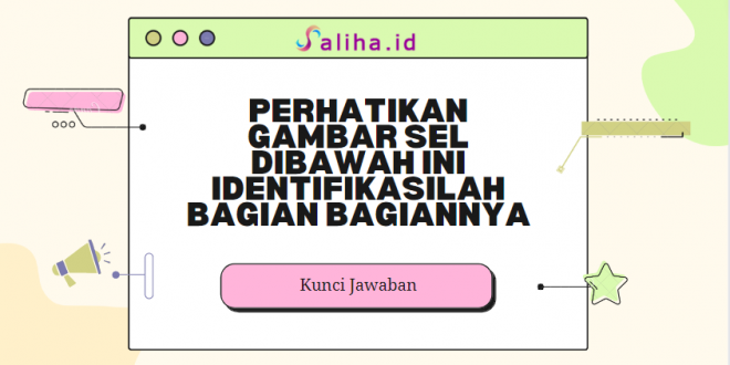 Perhatikan gambar sel dibawah ini identifikasilah bagian bagiannya