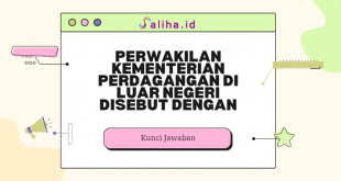 Perwakilan kementerian perdagangan di luar negeri disebut dengan