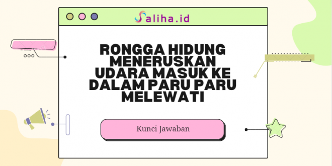 Rongga hidung meneruskan udara masuk ke dalam paru paru melewati