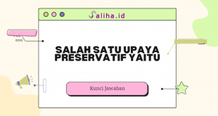 Salah satu upaya preservatif yaitu