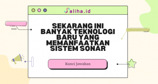 Sekarang ini banyak teknologi baru yang memanfaatkan sistem sonar