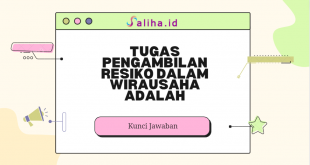 Tugas pengambilan resiko dalam wirausaha adalah