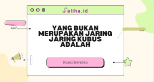 Yang bukan merupakan jaring jaring kubus adalah