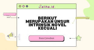 berikut merupakan unsur intrinsik novel kecuali