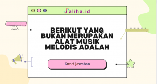 Berikut yang bukan merupakan alat musik melodis adalah