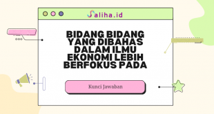 Bidang bidang yang dibahas dalam ilmu ekonomi lebih berfokus pada