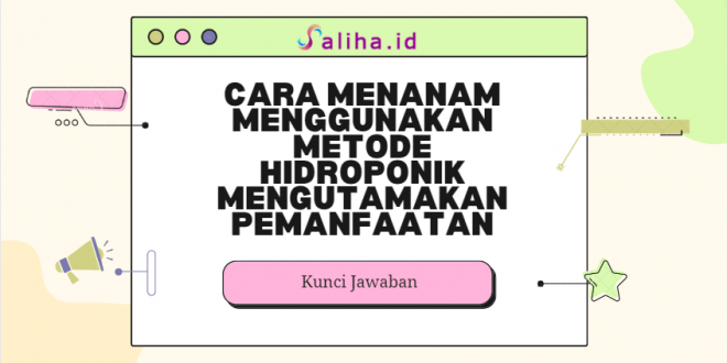 Cara menanam menggunakan metode hidroponik mengutamakan pemanfaatan