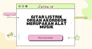 Gitar listrik organ akordeon merupakan alat musik