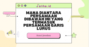 Mana diantara persamaan dibawah ini yang termasuk persamaan garis lurus