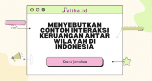 Menyebutkan contoh interaksi keruangan antar wilayah di indonesia