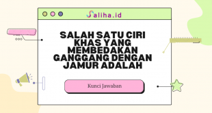 Berdasarkan penjelasan di atas, dapat disimpulkan bahwa salah satu ciri khas yang membedakan ganggang dan jamur adalah jamur tak berklorofil.