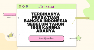 Terbinanya persatuan bangsa indonesia sebelum tahun 1908 karena adanya