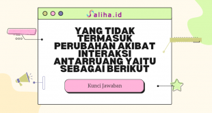 Yang tidak termasuk perubahan akibat interaksi antarruang yaitu sebagai berikut