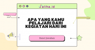 apa yang kamu pelajari dari kegiatan hari ini