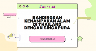 Bandingkan kenampakan alam di thailand dengan singapura