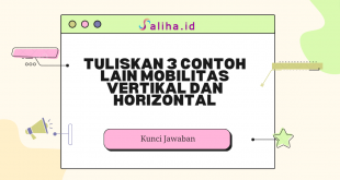 Tuliskan 3 contoh lain mobilitas vertikal dan horizontal