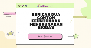 Berikan dua contoh keuntungan menggunakan biogas