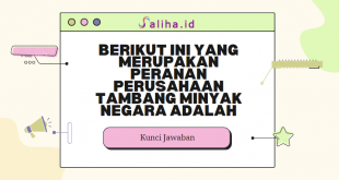 Berikut ini yang merupakan peranan perusahaan tambang minyak negara adalah