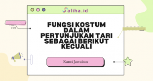 fungsi kostum dalam pertunjukan tari sebagai berikut kecuali