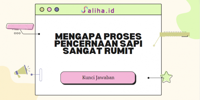 mengapa proses pencernaan sapi sangat rumit